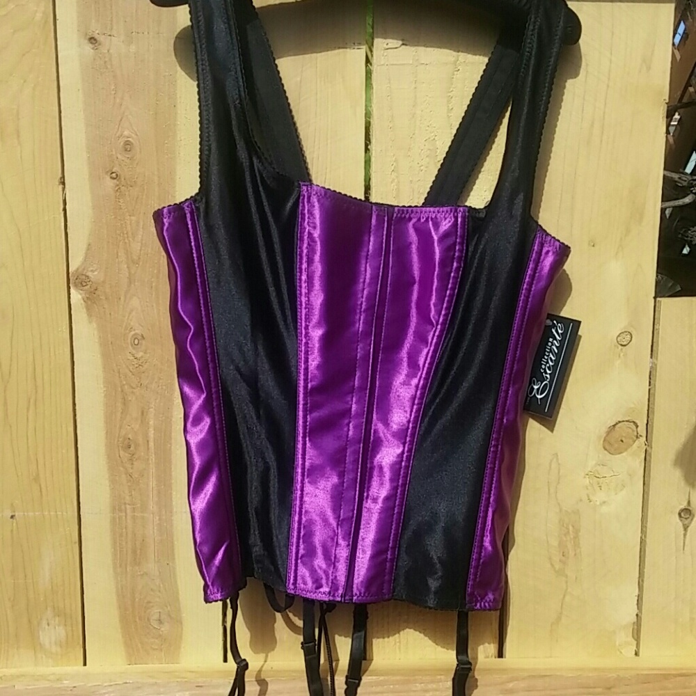 Sexy Purple/Blk Corset Top Bustier